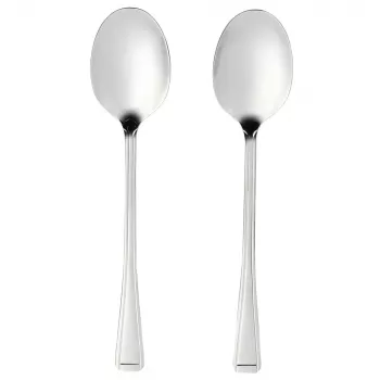 Conjunto de colheres de servir Salter BW09649 – 2 peças em aço inoxidável, aptas para máquina de lavar louça