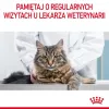 Comida húmida para gatos Royal Canin Urinary Care adultos aves 85 g saqueta (pack de 12)