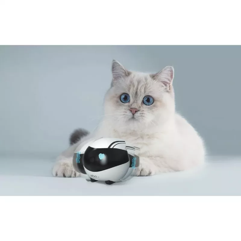 ENABOT Ebo Air AI Robô branco e preto