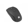Natec Squid NZB-1989 Kit de teclado e rato sem fios, disposição US, preto