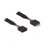 Cabo DeLOCK 0,1m 2xUSB2.0 10p
