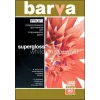 Papel fotográfico Barva Profi Super Glossy 255 g/m² A3 20 folhas