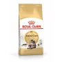 Royal Canin FBN Maine Coon Adult ração seca para gatos, 10 kg