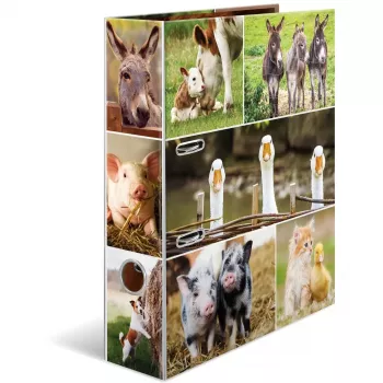 Dossier HERMA 19253 A4 multicolorido cartão 285x315 mm