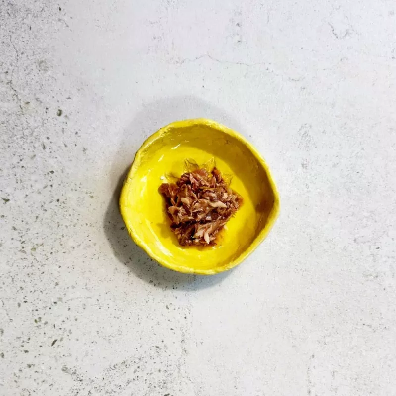 Ollo Atum com Lagosta em Caldo Nº 11 70g