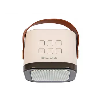 Altifalante de karaoke, altifalante Bluetooth KARAOKE RGB, 30W