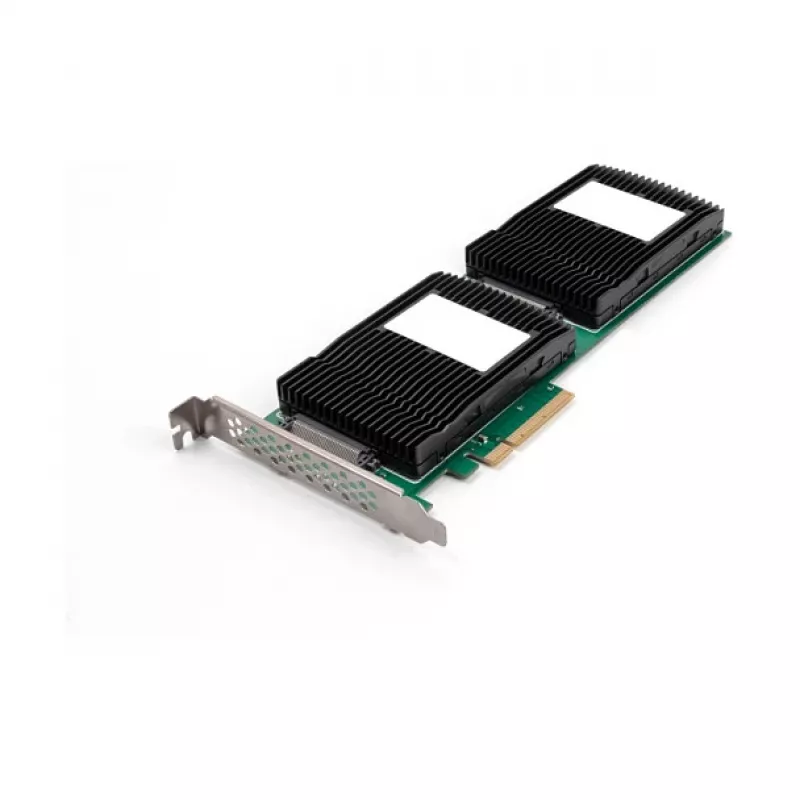 DeLOCK 90151 adaptador U.2 interno PCIe com indicadores LED
