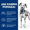 HILL'S Prescription Diet Urinary Care Original - comida húmida para cães - 370g