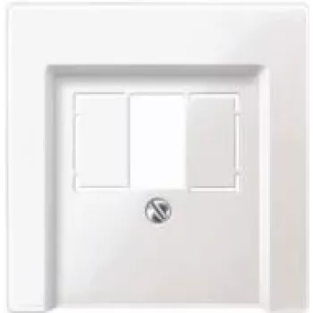 Merten 297919 placa central para tomada telefónica TAE, branco polar