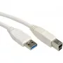 VALUE cabo USB - USB Type-A (macho) para USB Type-B (macho)