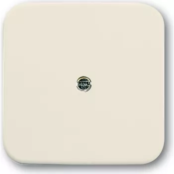 Busch Jaeger 1724-0-0244 tampa/tampa de interruptor branco (1724-0-0244)