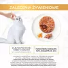 GOURMET GOLD - patê saboroso com frango e cenoura 85g
