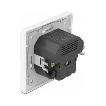 Tomada DeLOCK 11489 CEE 7/3 + USB branco 250V 16A