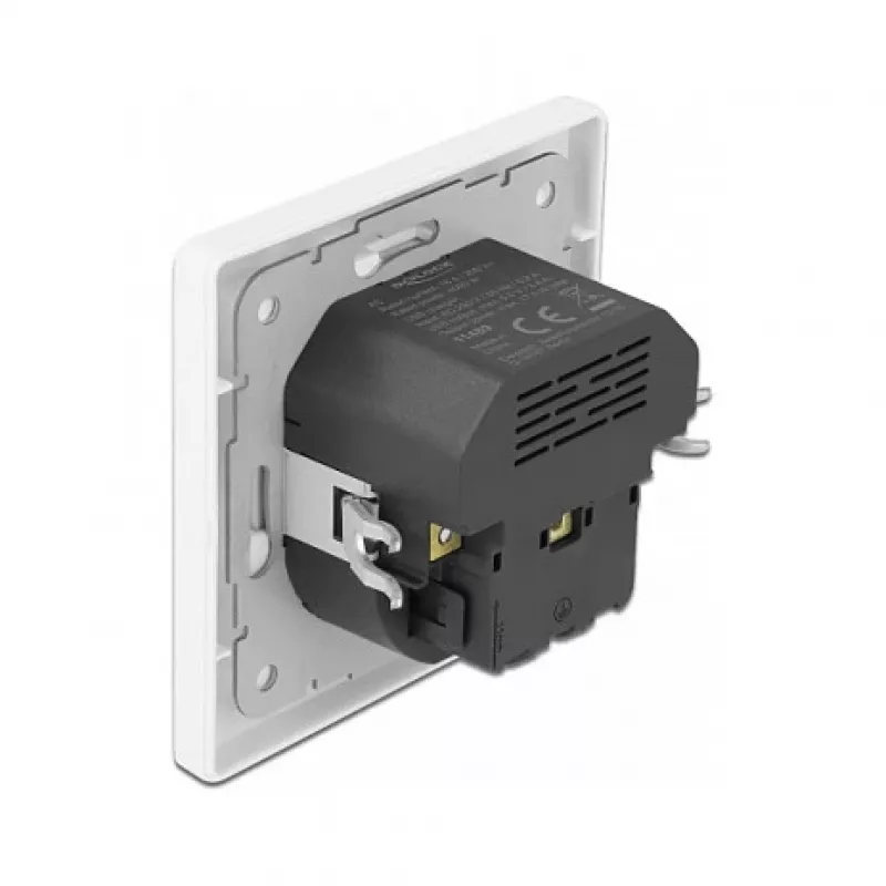 Tomada DeLOCK 11489 CEE 7/3 + USB branco 250V 16A