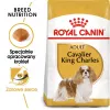 Comida seca para cães Royal Canin Cavalier King Charles Adult 1,5 kg — frango, raça pequena, pele e pelo, apoio cardíaco