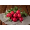 Sementes de rabanete Saxa 3, embalagem de 10 g