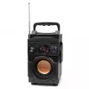 Altifalante Bluetooth 5.1 Squeak Bassblaster, rádio FM, leitor MP3 SQ1001