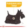 Royal Canin CCN Dermacomfort Loaf alimento húmido para cães, embalagem de 12 x 85 g