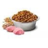 Farmina N&D Ancestral Grain Canine Adult Chicken comida para cães PND1500001, 15 kg