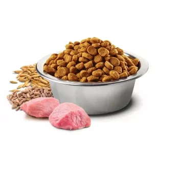 Ração seca para cães Farmina N&D Ancestral Grain Adult Frango 15 kg — 27% proteína, 16% gordura