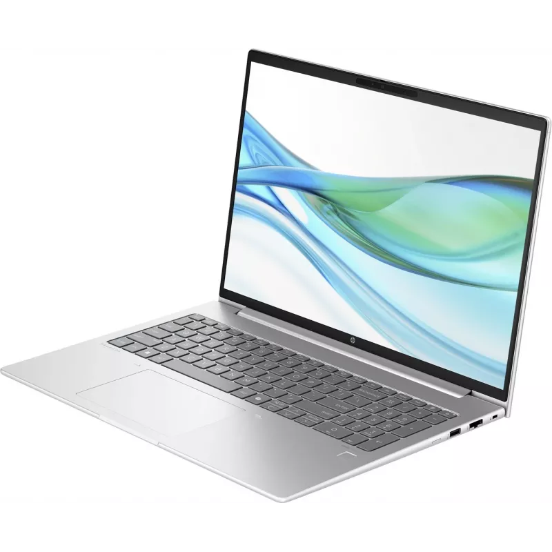 PC portátil HP ProBook 465 G11 AMD Ryzen™ 5 7535U 40,6 cm (16) WUXGA 16 GB DDR5-SDRAM 512 GB SSD Wi-Fi 6E (802.11ax) Windows 11 Home