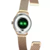 Smartwatch MaxCom FW42 GOLD dourado