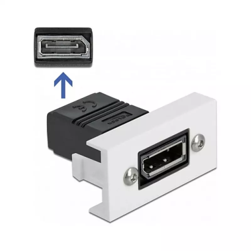 Módulo DisplayPort DeLOCK Easy 45 81305