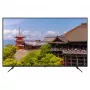 164,0cm/65 (3840x2160) JAPANNEXT JN-IPS650UHD60F 16:9 IPS 60Hz HDMI USB WLAN altifalantes preto