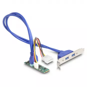 DeLOCK placas/adaptadores de interface 61065 interno USB 3.2 Gen 1 M.2 macho
