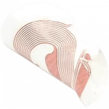Autocolante NFC SCOT NTAG213 18 mm branco, etiqueta RFID, pack de 10
