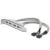 Cabo para chapa de slot USB 2.0 HighSpeed Tipo 2xIDC (5pin)/4xUSB A M/F cinzento 0,25 m