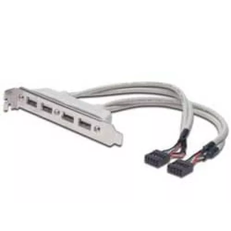 Cabo para chapa de slot USB 2.0 HighSpeed Tipo 2xIDC (5pin)/4xUSB A M/F cinzento 0,25 m