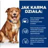 HILL'S Prescription Diet Derm Complete - alimento seco para cães - 1,5kg