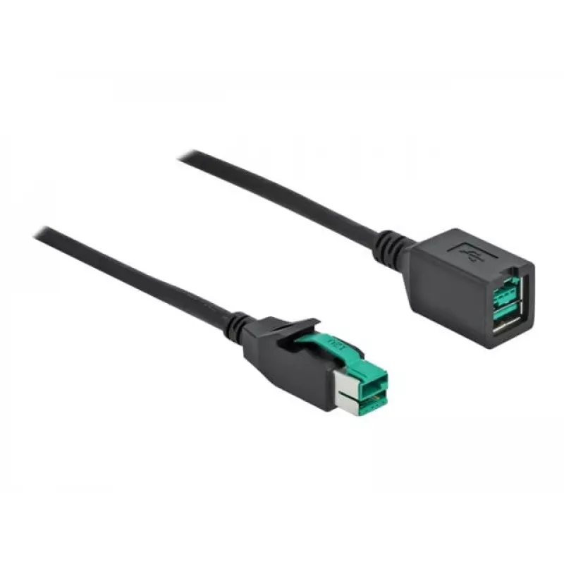 Cabo de extensão USB com alimentação DeLOCK 85980 12 V 1 m