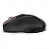Cian Technology GmbH INCA rato IWM-500GLK Nano-USB Wireless Laser 1600 DPI RD retail