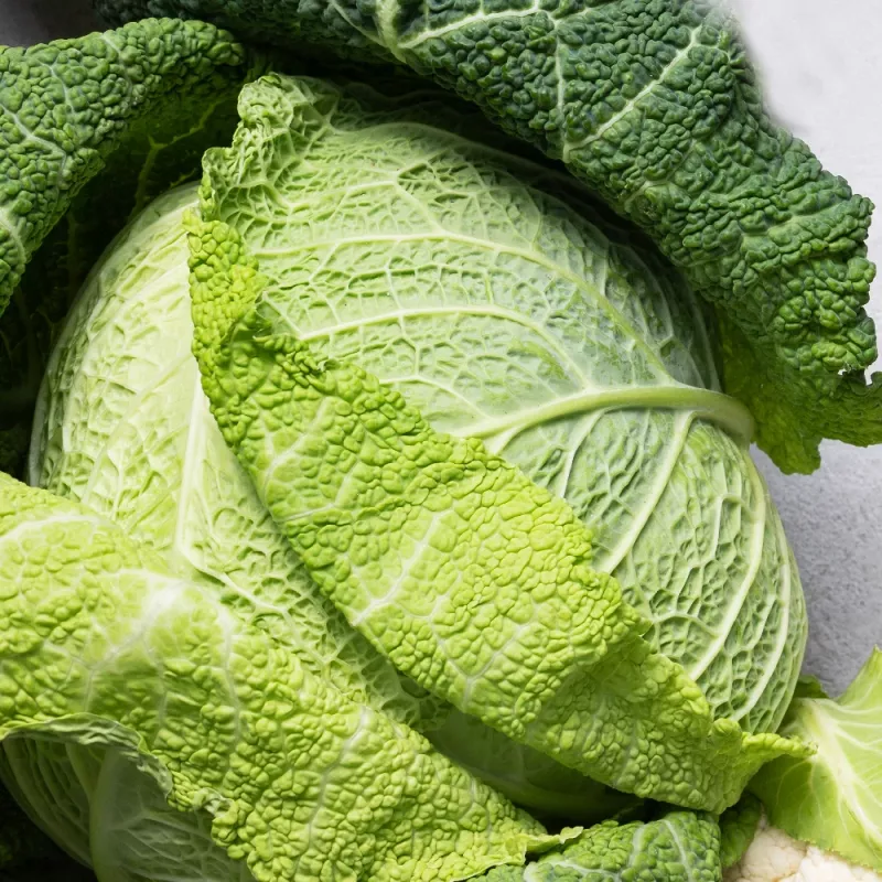 PNOS couve-de-saboia Langedijska sementes de hortícolas, 2 g