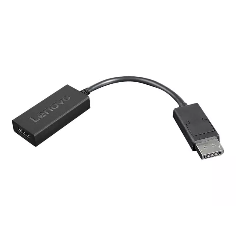 Lenovo 4X90R61023 adaptador de DisplayPort para HDMI 2.0b, DP macho – HDMI fêmea, 22,5 cm, 4K, preto