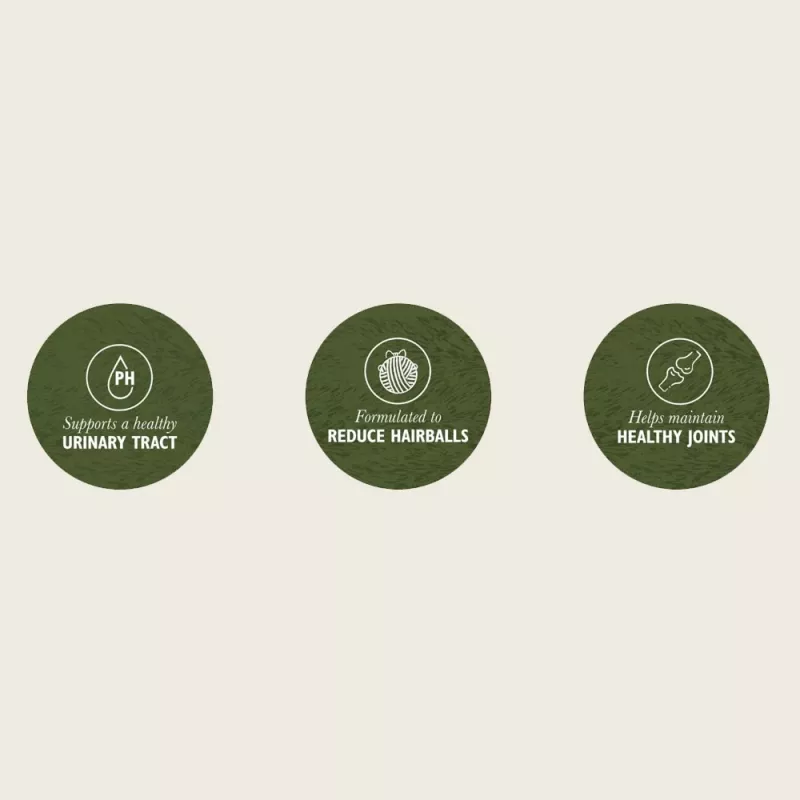 EDEN Pato & Sardinha - comida seca para gatos - 1,5 kg