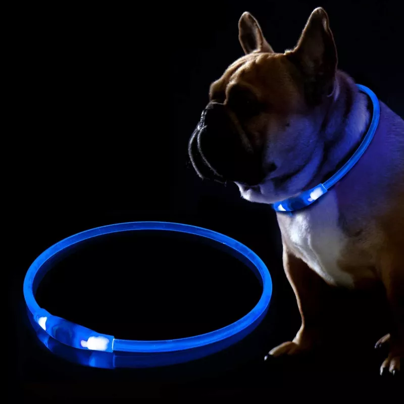 Coleira LED KABB azul para cães e gatos – recarregável, coleira de segurança ajustável com iluminação
