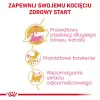 Ração seca para gatos Royal Canin Maine Coon Kitten 400 g — aves, 36% proteína, 23% gordura