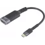 Cabo adaptador USB-C DisplayPort Renkforce RF-6798310 [1x ficha - 1x]