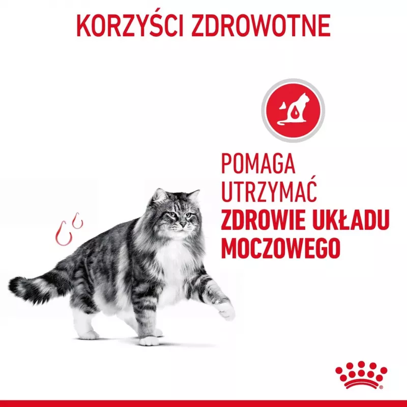 Royal Canin Urinary Care Ração seca para gatos 4 kg