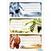 Etiqueta autocolante HERMA futebol retangular permanente multicolor 9 unid.