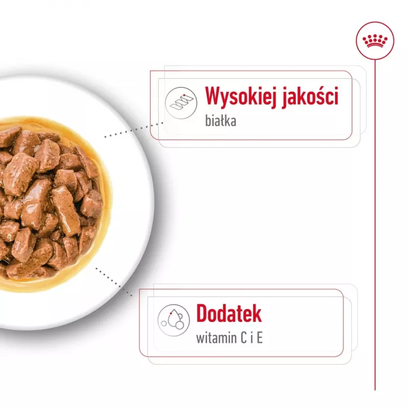 ROYAL CANIN SHN Medium Adult in Sauce - Comida húmida para cães adultos - 10x140g