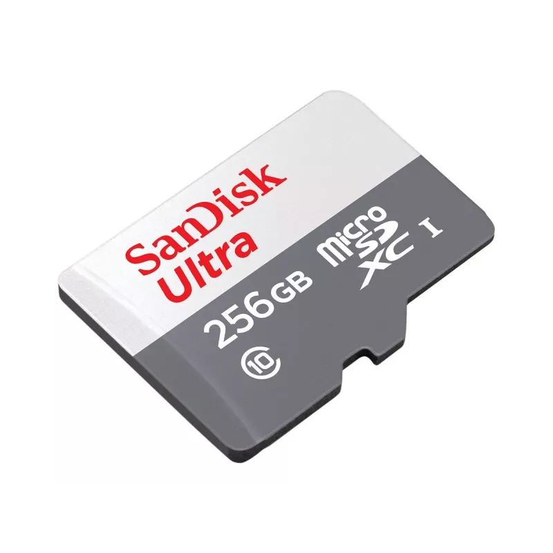 Memória Flash SanDisk 256 GB MicroSDXC UHS-I SDSQUNR-256G-GN6TA