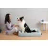 PETKIT | Cama para animais Deep Sleep All Season L | verde