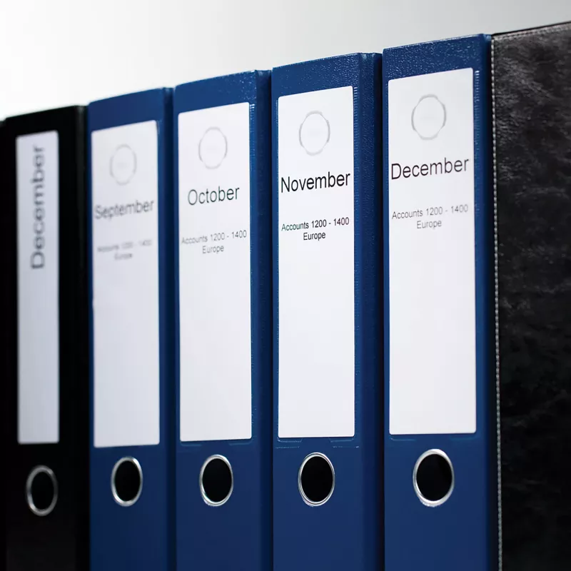 Etiquetas para dossiês DYMO Authentic LabelWriter | 59 mm x 190 mm | autoadesivas | rolo de 110 etiquetas Easy-Peel | para impressoras de etiquetas LabelWriter | fabricadas na Europa