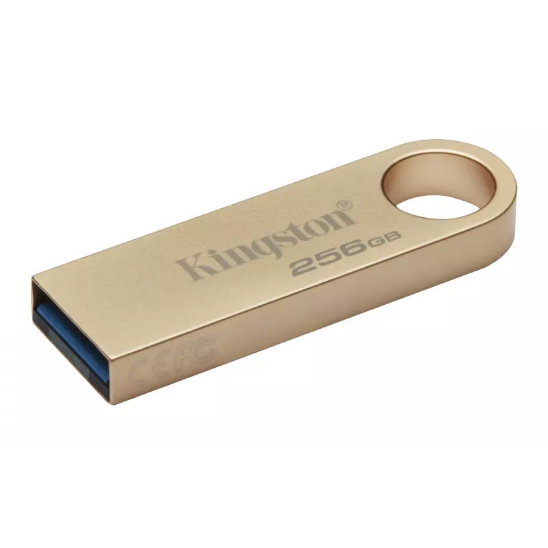 Kingston Technology DataTraveler 256 GB 220 MB/s USB metálico 3.2 Gen 1 SE9 G3
