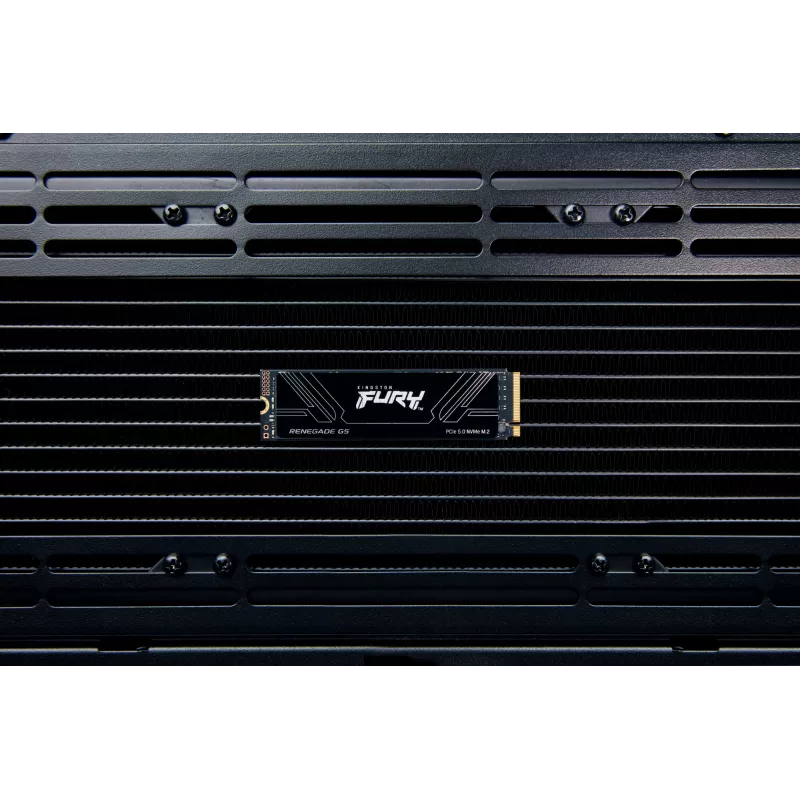 Disco SSD Kingston Technology 1 TB M.2 NVMe FURY RENEGADE G5