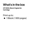 HP 304XL Cartucho de tinta Original preto, preto, 1 unid., 300 páginas